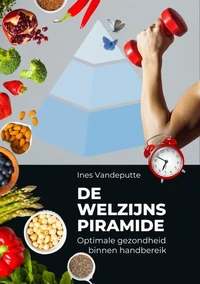 De Welzijnspiramide
