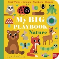 My Big Playbook