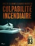 Inger Gammelgaard Madsen et Laure Picard-Philippon - Culpabilité incendiaire - Chapitre 3.