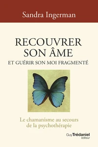 Recouvrer son âme et guérir son moi fragmenté