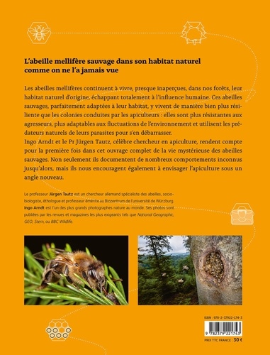 Abeilles mellifères sauvages