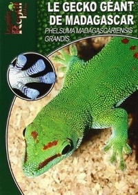 Ingo Kober - Le gecko géant de Madagascar - Phelsuma Madagascariensis Grandis.