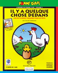 IL Y A QUELQUE CHOSE DEDANS. 1 CD-ROM