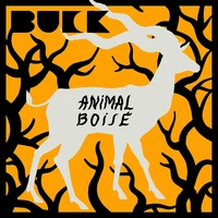Animal Boise