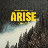 Amaury Faye Ensemble - Arise - (suite). 1 CD audio