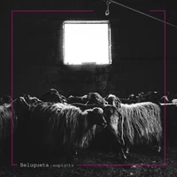 Belugueta Espigots