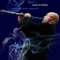 Ioan Streba - Cosmopolite gypsy blues 2. 1 CD audio