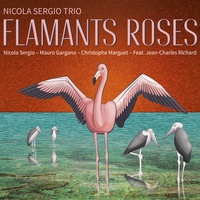 Nicola Sergio - Flamants roses. 1 CD audio