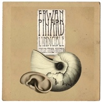 Erwan Pinard - Indicible. 1 CD audio