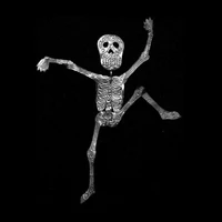 Introducing Spiritus Fonktus