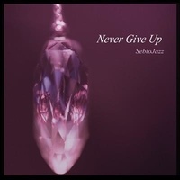  Sebiojazz - Never give up.