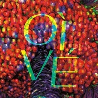  Pixvae - Oi Vé. 1 CD audio