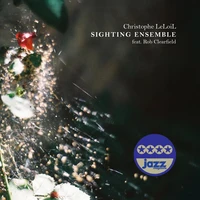 Sighting ensemble