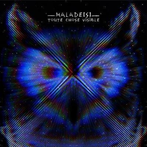  Malade[s] - Toute chose visible. 1 CD audio