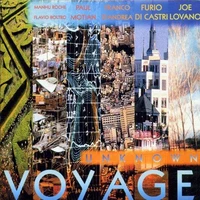 Unknown voyage