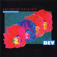 Variabile / Naturale