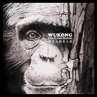 Wukong and the pilgrim shadows