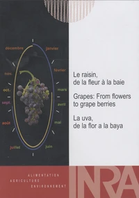Le raisin