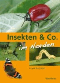 Insekten & Co. im Norden - Spinnen, Heuschrecken, Käfer, Schmetterlinge.
