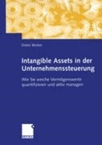 Intagible Assets in der Unternehmenssteuerung - Wie Sie weiche Vermögenswerte quantifizieren und aktiv managen.