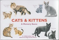 Cats & kittens