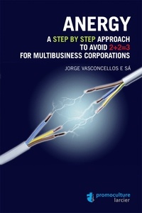 Jorge Vasconcellos e Sa - Anergy - A step by step approach to avoid 2+2=3 for multubusiness corporations.