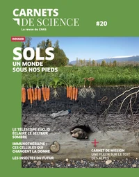 Carnets de science. La revue du CNRS N° 20