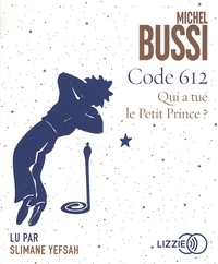 Michel Bussi - Code 612 - Qui a tué le Petit Prince ?. 1 CD audio MP3