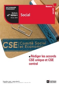 Nathalie Lebreton - Dictionnaire Permanent Social N° 1016-1, février 2019 : Rédiger les accords CSE unique et CSE central.