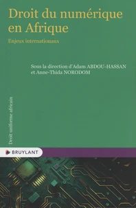Droit du numérique en Afrique