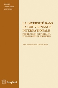 Vincent Négri - La diversité dans la gouvernance internationale - Perspectives culturelles, écologiques et juridiques.
