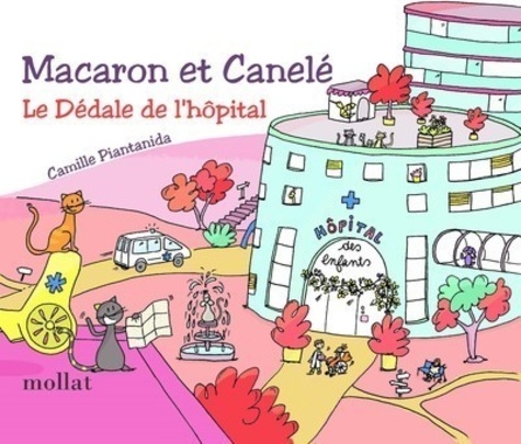 Camille Piantanida - Macaron et Canelé  : Le dédale de l'hôpital.