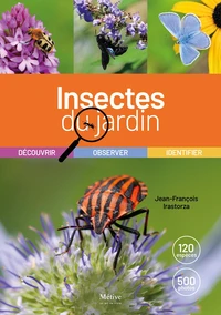 Insectes du jardin