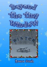 Beyond The Tiny Window: Winter