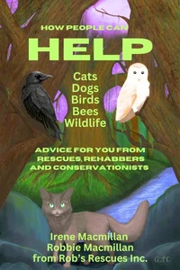 How People Can Help Cats, Dogs, Birds, Bees and Wildlife: Advice For You From Rescues, Rehabbers and Conservationists