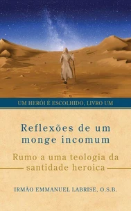 Reflexões de um monge incomum