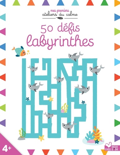 Isabel Aniel et Elizabeth Golding - 50 défis labyrinthes.
