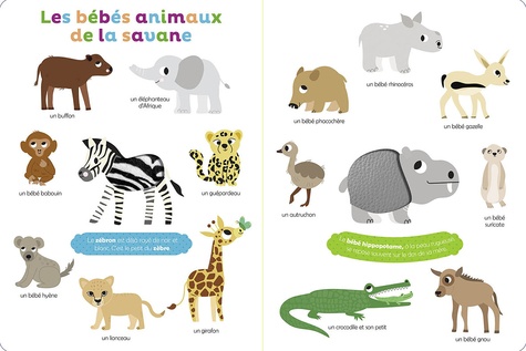 Mes premiers bébés animaux à toucher