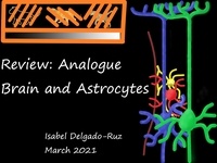  Isabel Delgado-Ruz - Review: Analogue Brain and Astrocytes - Neuroscience Feeds and Reviews, #1.