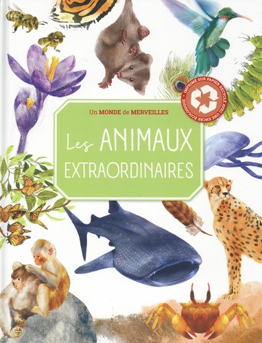 Isabella Grott - Les animaux extraordinaires.