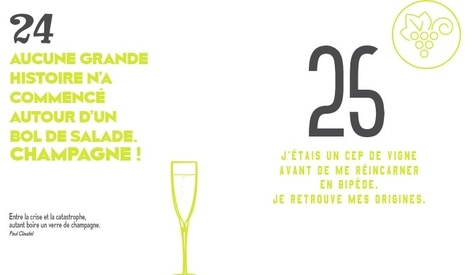 99 + 1 (bonnes) raisons de boire du champagne