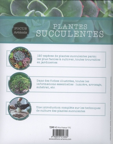 Plantes succulentes