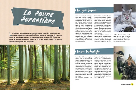 Mon petit guide pour se promener en forêt