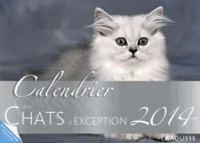 Calendrier des chats d'exception