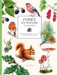 Isabelle Jeuge-Maynart et Ghislaine Stora - Forêt et nature à colorier - 40 planches détachables à colorier ou à peindre.