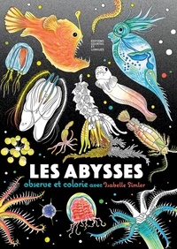 Téléchargement gratuit de livres informatiques en pdf Les Abysses CHM par Isabelle Simler (French Edition) 9782352903734