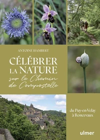 Célébrer la nature sur le Chemin de Compostelle