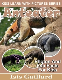  Isis Gaillard - Anteater Photos and Fun Facts for Kids - Kids Learn With Pictures, #91.