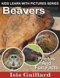  Isis Gaillard - Beavers Photos and Fun Facts for Kids - Kids Learn With Pictures, #32.