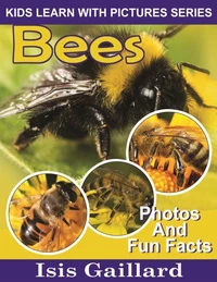 Bees Photos and Fun Facts for Kids